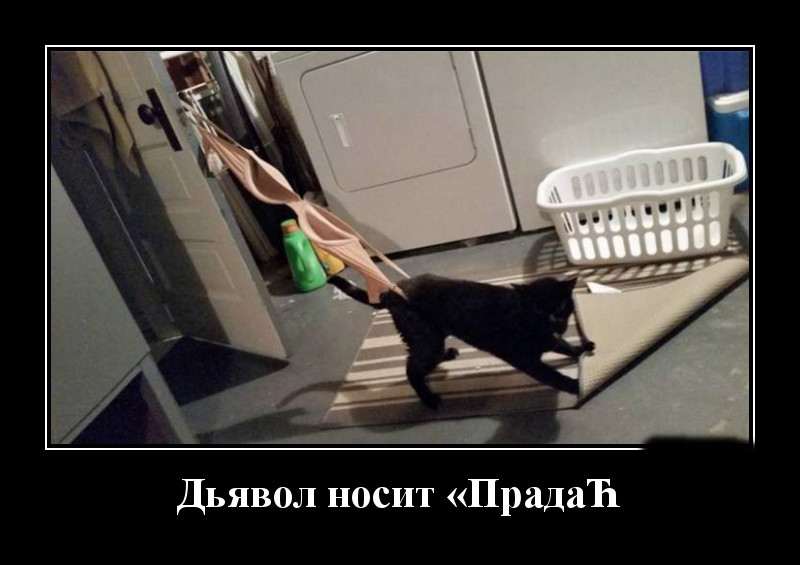 Podborka luchshikh demotivatorov 532 052